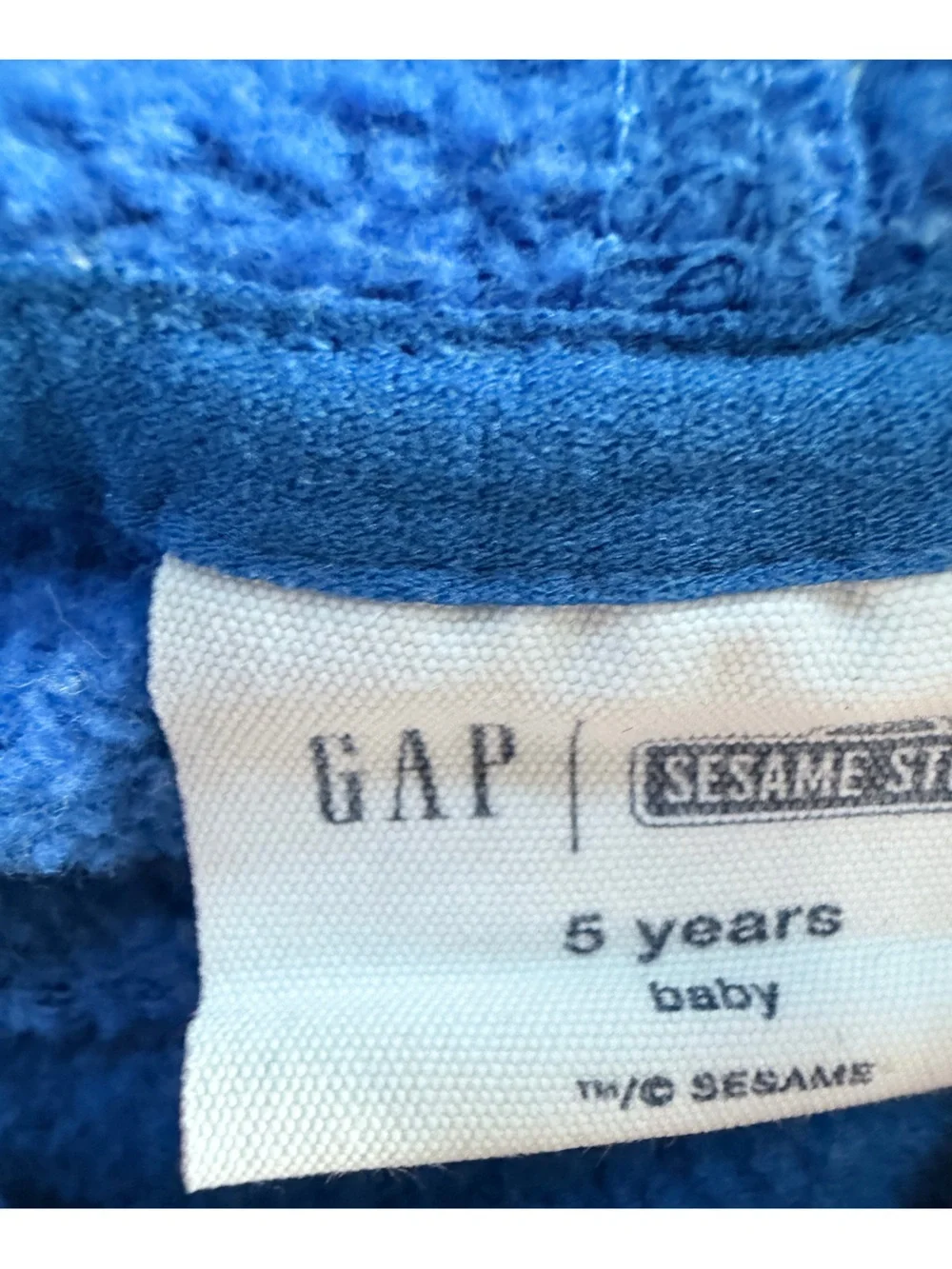 GAP 5T Blue Cookie Monster Hooded Sweatshirt